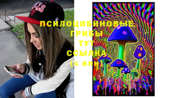 ешки Балахна